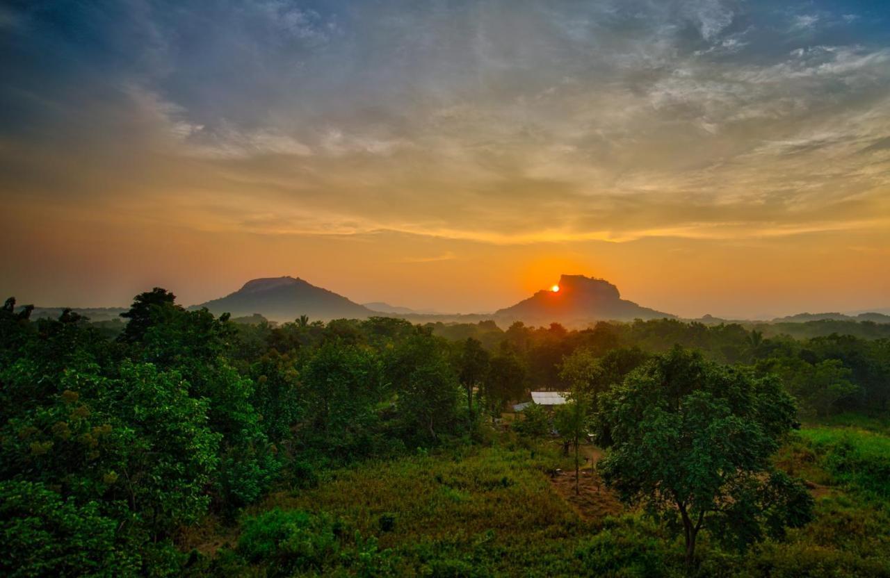 Choona Lodge 'View Of Sigiriya & Pidurangala With Sunrise' Exterior foto